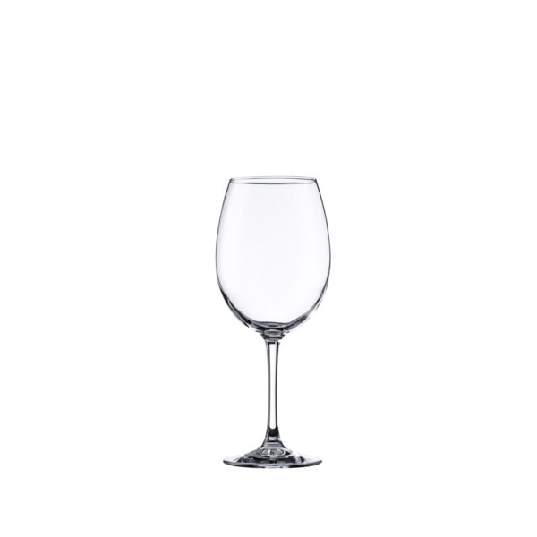 Verre tradyglass Pinot